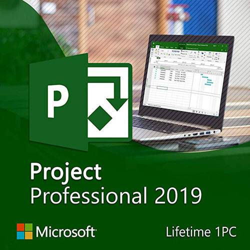 Microsoft Project Professional 2019